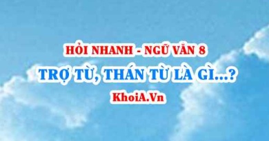 Trợ từ là gì? Thán từ là gì? Đặc điểm và chức năng của trợ từ, thán từ? Ví dụ? Ngữ Văn lớp 8